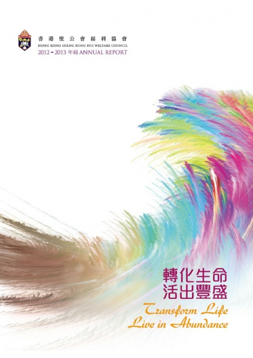 2012 -2013 年報封面