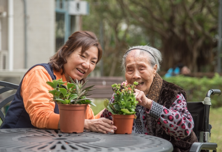 安老服務 Elderly Services